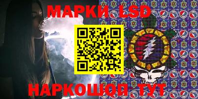 индика Рыбинск