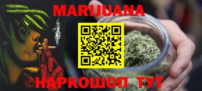 индика Рыбинск