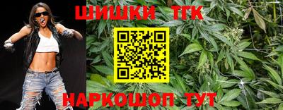 индика Рыбинск